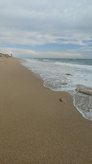 Playa en los alrededores, camastros y toallas de playa