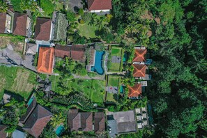 Aerial view - Tirta Arum (Ubud)