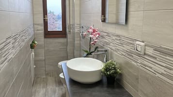 Shower, hair dryer, bidet, towels