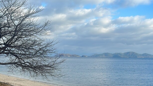A beach with a clear sky, a sandy shore, and a tree in the foreground. - Pension Lakeside (Otsu)