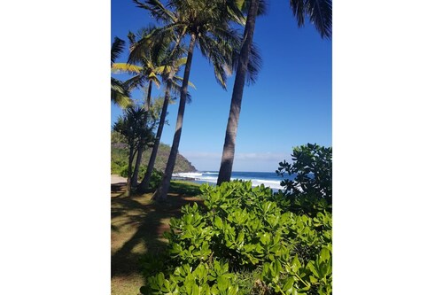 Driftwood-small house next to large cove