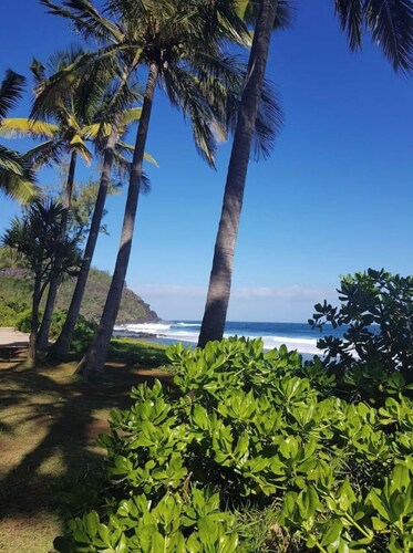 Le bois flotté-petite maison à côté de grande anse