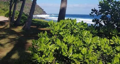 Le bois flotté-petite maison à cÎté de grande anse