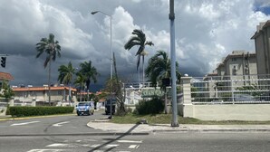 A street with palm trees, a traffic light, and a building with a sign that reads "OAKLANDS". - Magic casa (Kingston)