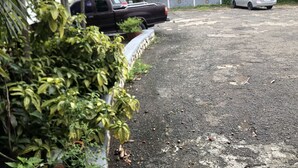 A parking area with a gravel surface, a black pickup truck, and a silver sedan. - Magic casa (Kingston)