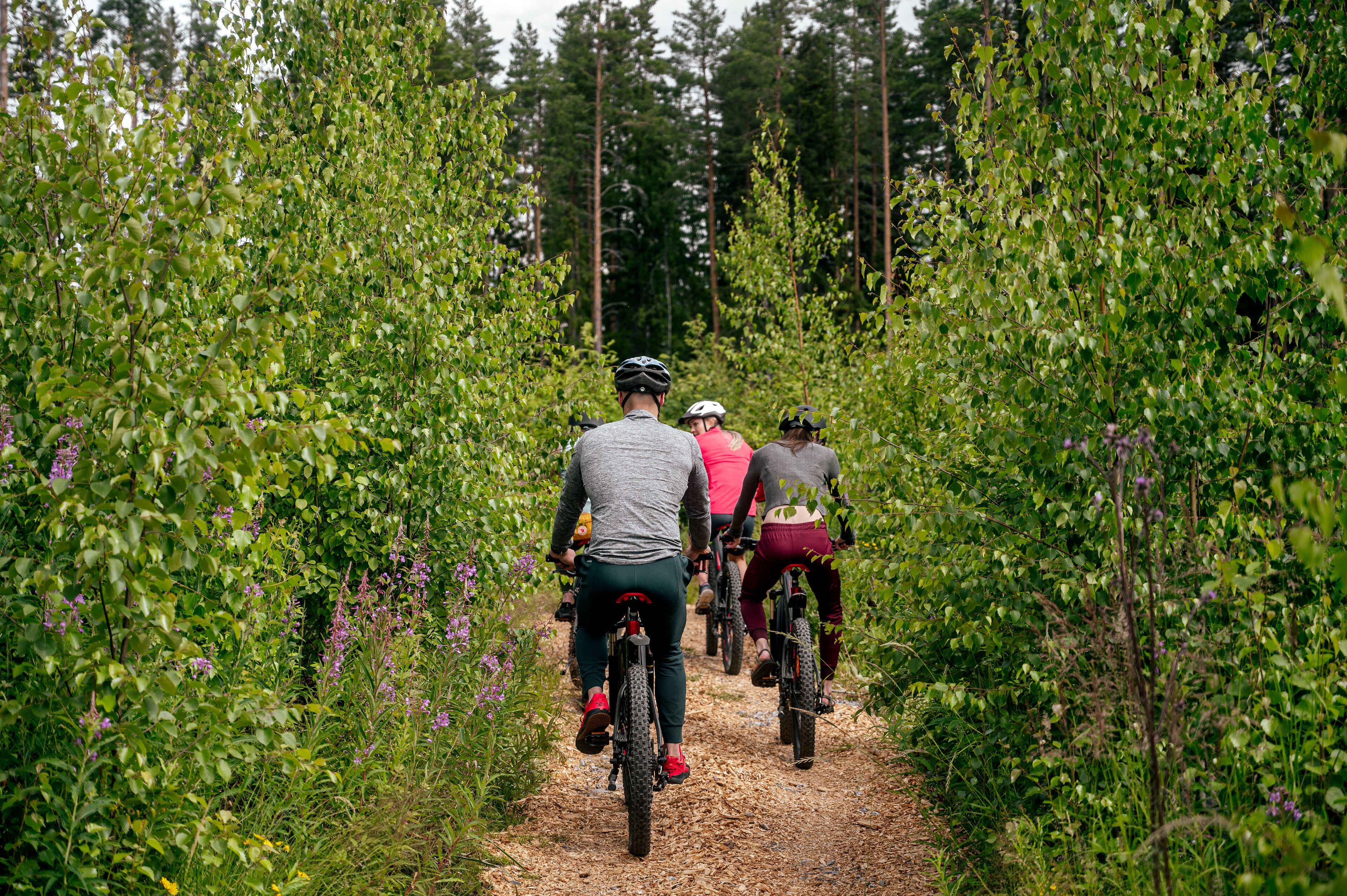 Een groep fietsers rijdt over een smal pad, omringd door dichte begroeiing en bomen.