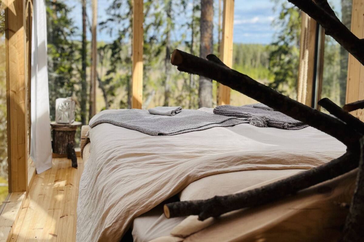 A wooden cabin with a bed, a window, and a view of trees.