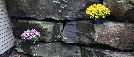 Details aan de buitenkant