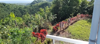 Mountainside Sunrise 1-2 Bedroom Furnished Tropical Escape