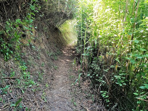 Rural house with barbecue in Mieres -Gerona  for 9 people