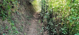 Rural house with barbecue in Mieres -Gerona  for 9 people