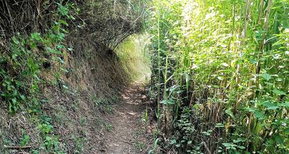 Rural house with barbecue in Mieres -Gerona for 9 people