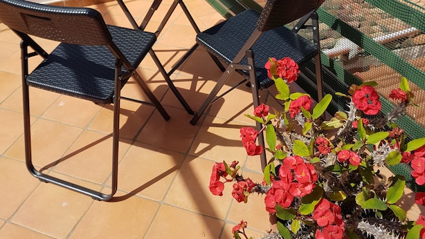 A terrace with a table and chairs, a bottle of wine, and a view of the sea and buildings. - Flower Apartment (Cefalù)