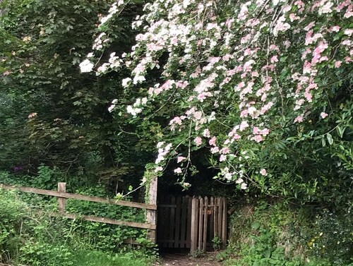Romantic hideaway on Dartmoor national park