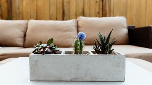 Unclassified image, 5 of 40, button - Modern 3BR in the Heart of Ballard | Private Patio (Seattle)
