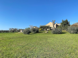 Apartment | Golf - Charming 2-bed Apartment in Petritoli (Petritoli)