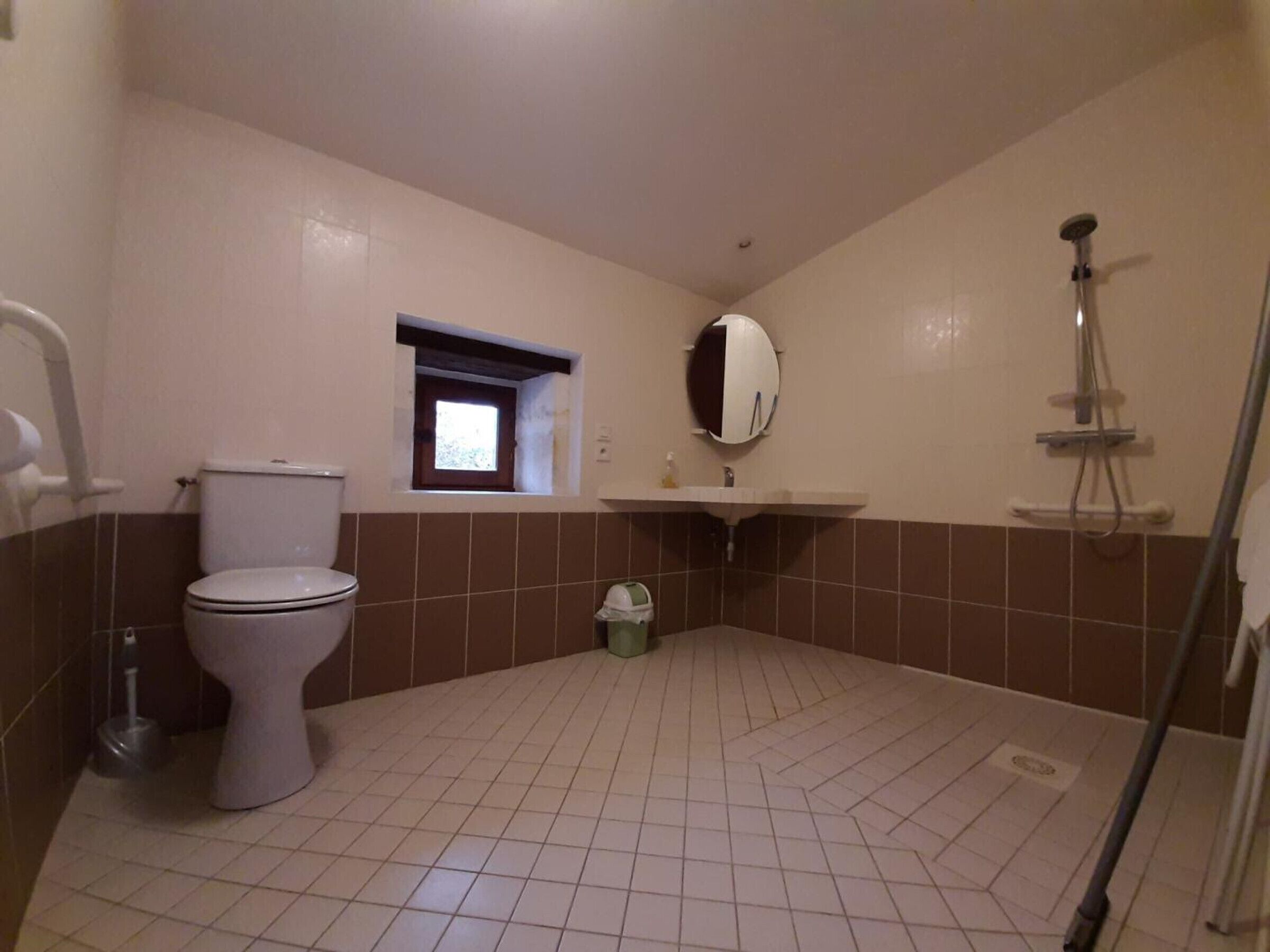 A bathroom with a toilet, a sink, a mirror, and a shower.