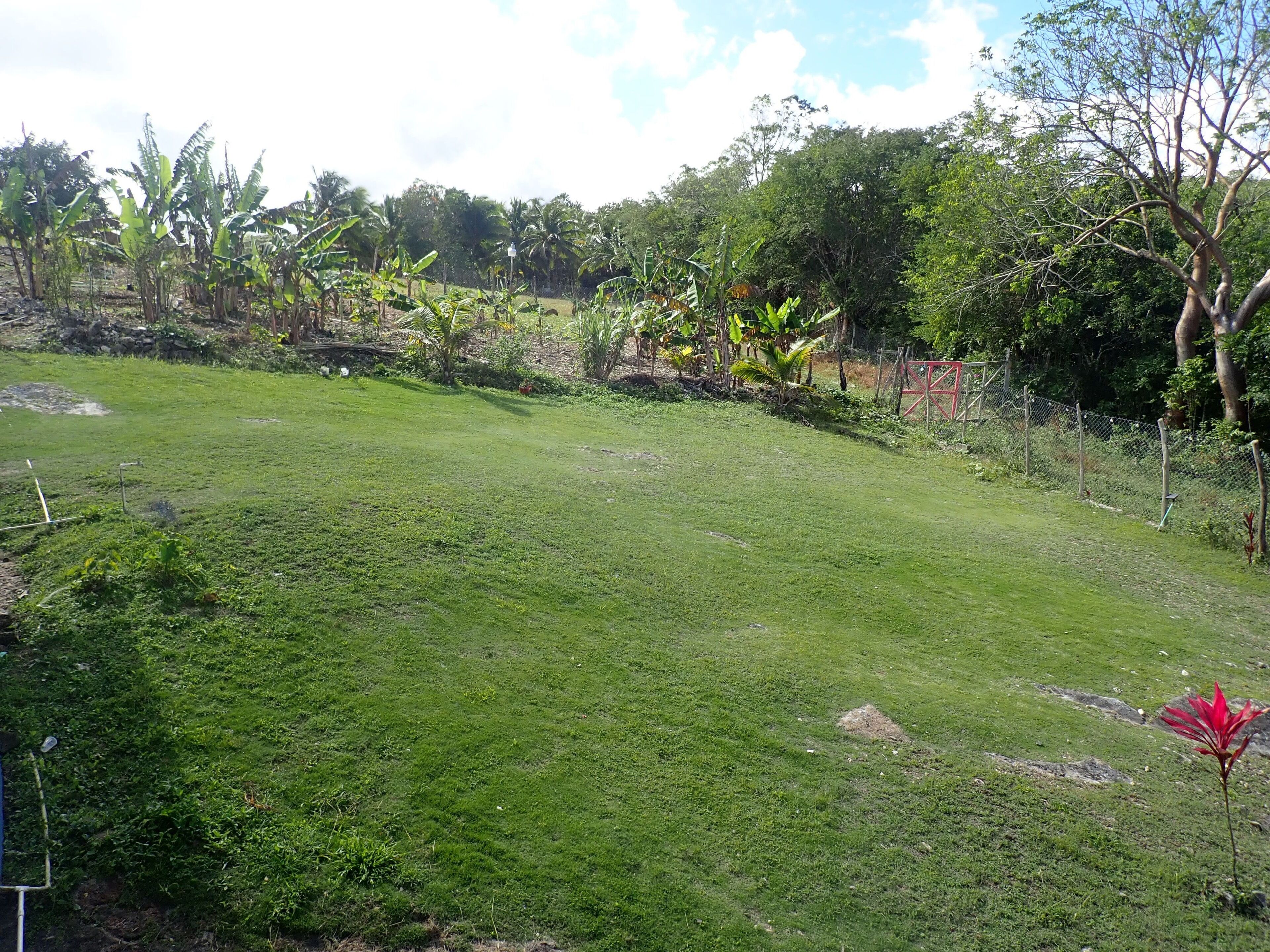 COUNTRY RETREATlarge 1 bed house* w/hot water* kitchen * nr. Montego