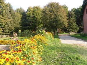 Jardines del alojamiento