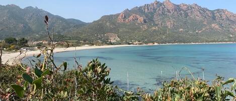 Beach nearby, sun loungers