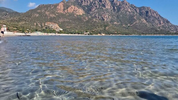 Une plage de sable fin avec une montagne en arrière-plan.