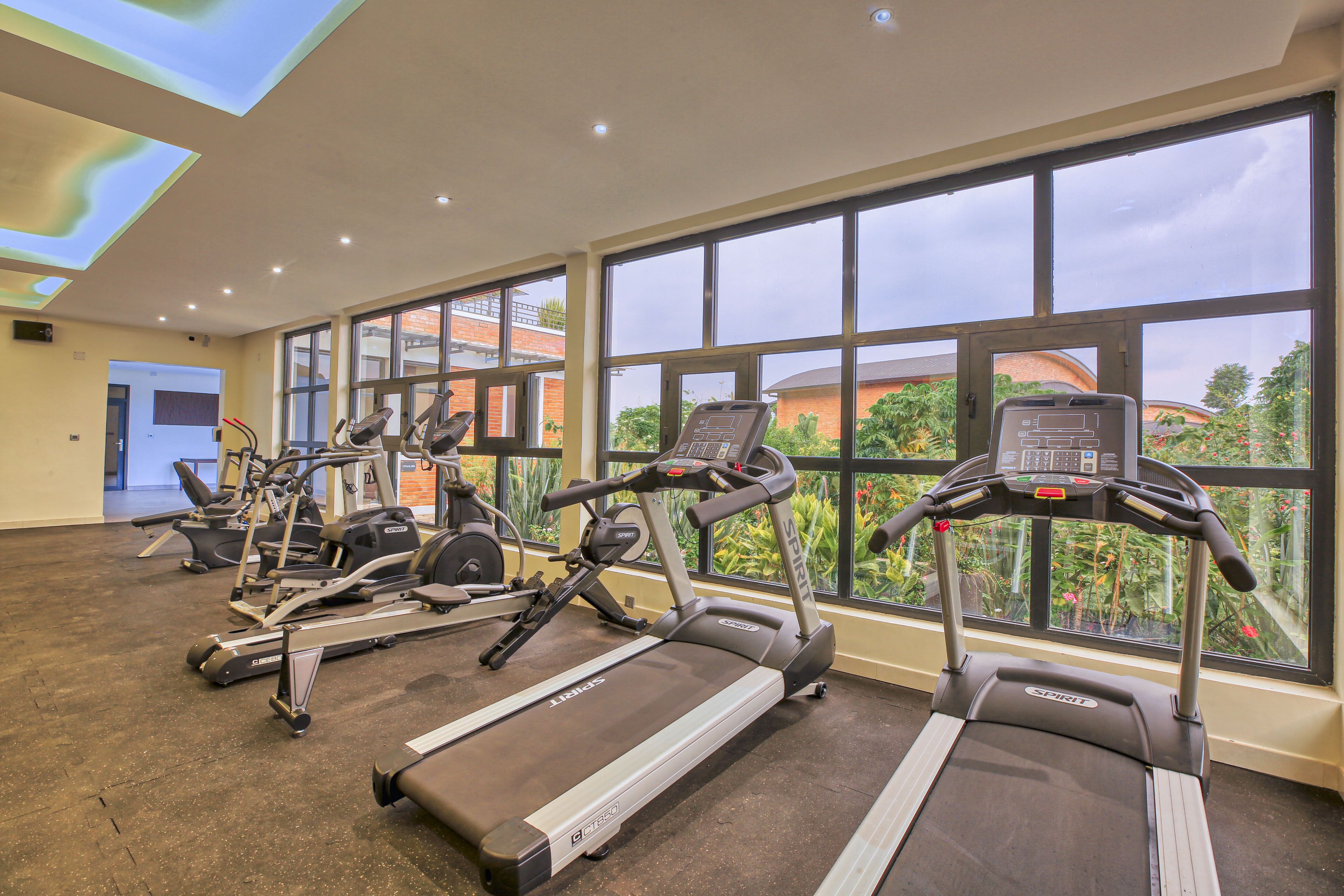 A gym with treadmills, ellipticals, and a large window with a view of greenery and buildings.