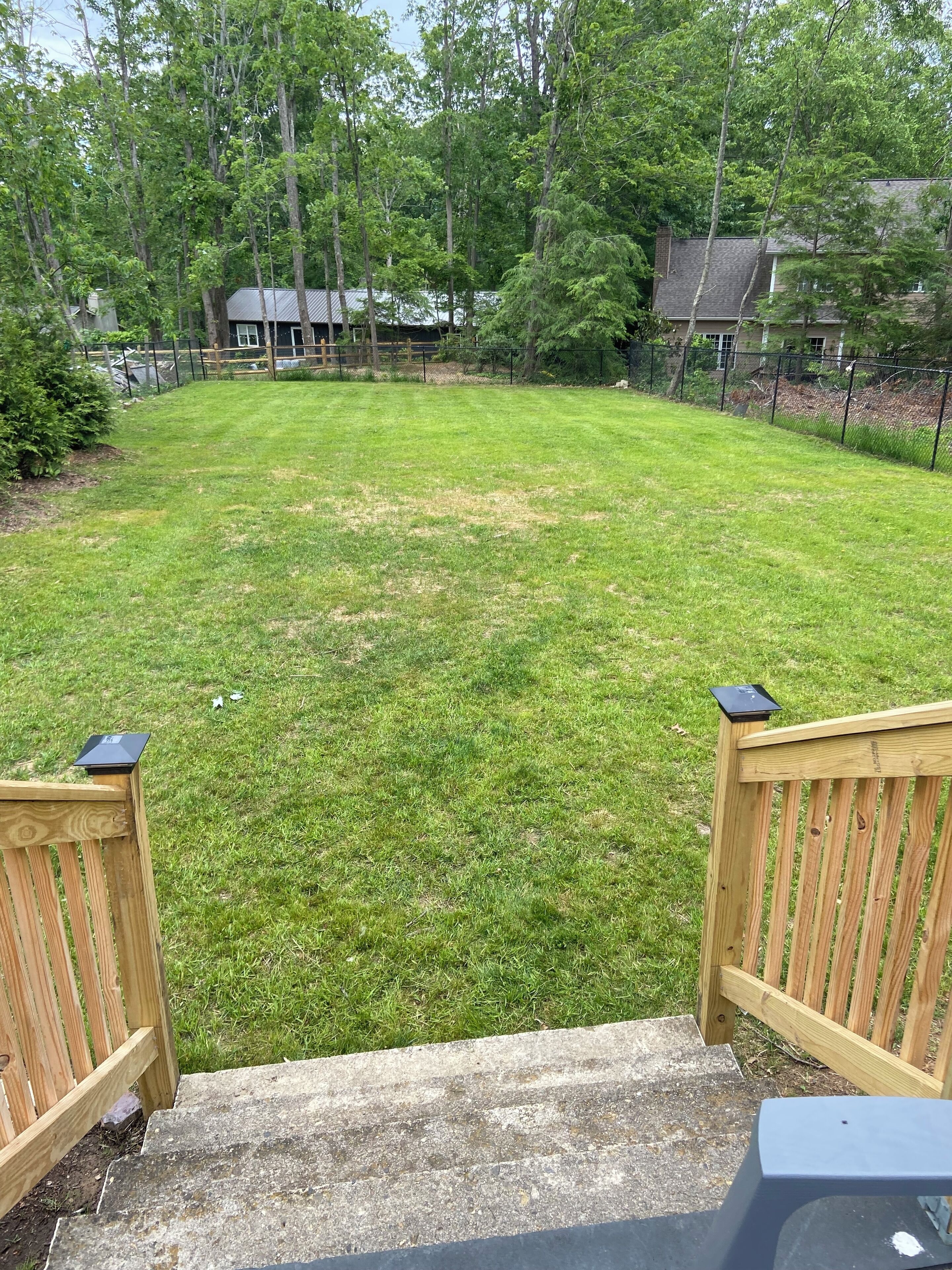 A backyard with a wooden deck, a stone pathway leading to the deck, and a grassy lawn.