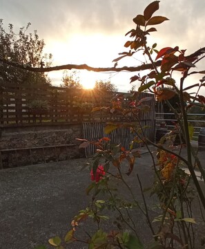 Overnatningsstedets område