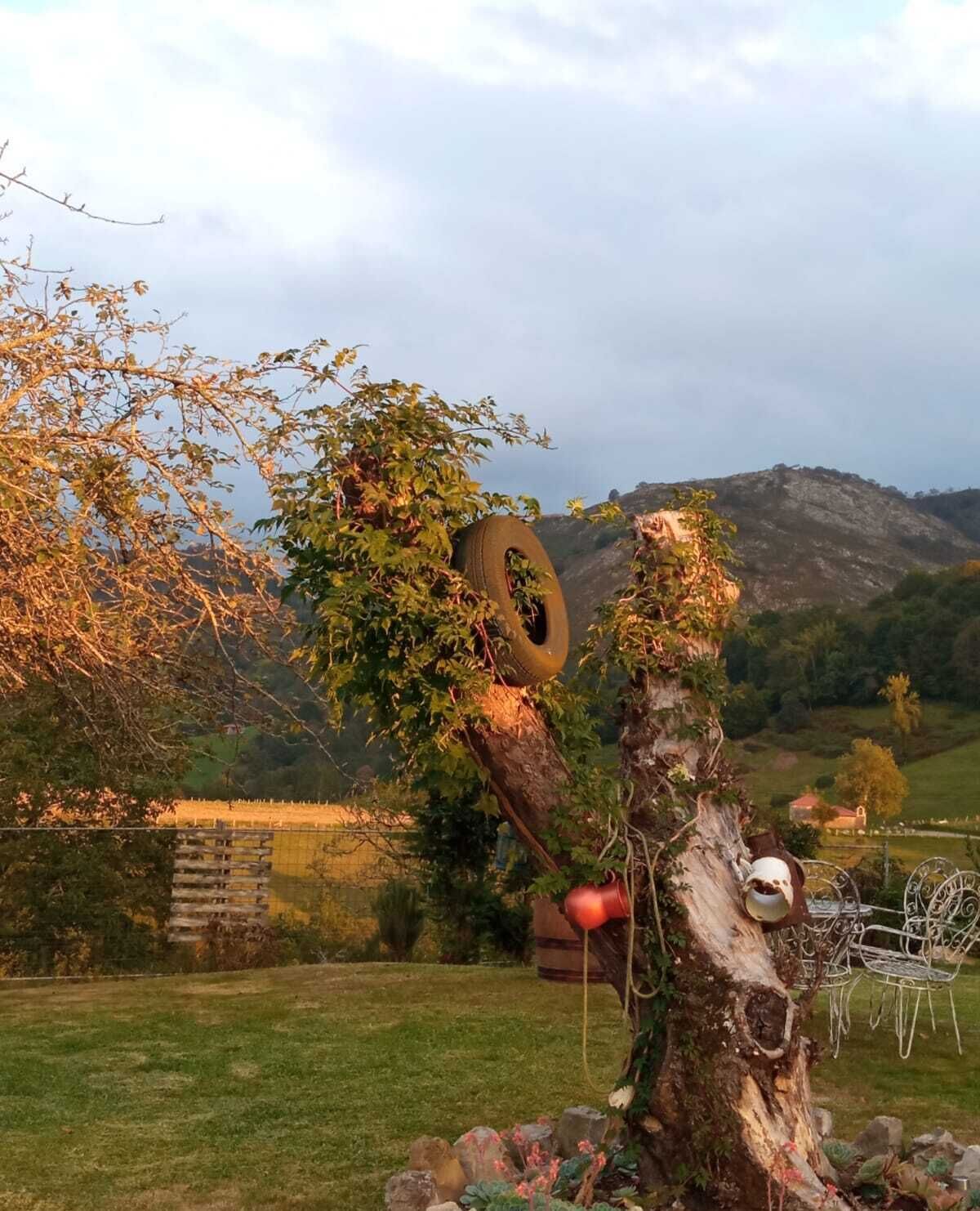 A rustic outdoor setting with a tree trunk decorated with a tire, a metal chair, and a small white pot.