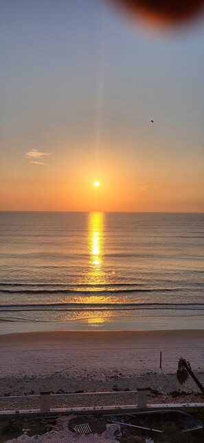 On the beach, sun loungers, beach towels - Oceanfront Daytona Beach Condo – Magnificent Views, Pools & Beach Access (Daytona Beach)