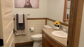 A bathroom with a toilet, sink, and a mirror.