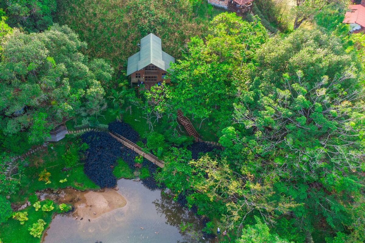 Chalet rustique luxueux, Plusieurs lits, baignoire à remous, vue sur le lac | Literie de qualité, minibar, coffre-fort