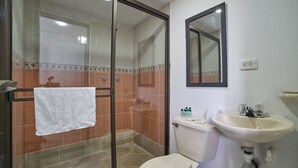 A bathroom with a glass-enclosed shower, a toilet, and a sink with a mirror above it. - Farum Hotel Medellin (Medellín)