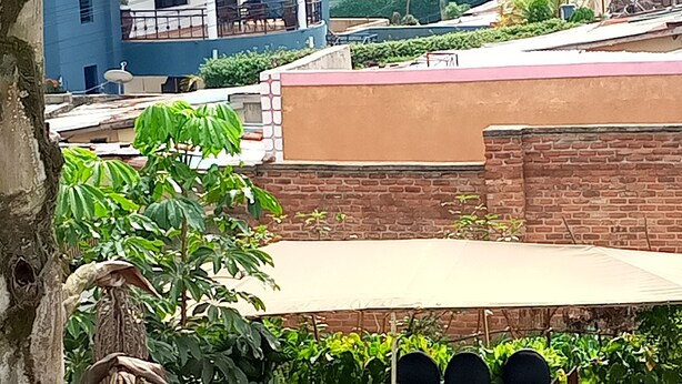 A patio area with a table and chairs under a canopy, surrounded by potted plants and a tree. - Charming 2-bed House in Kigali (Kigali)