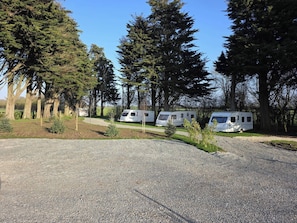 A gravel parking area with RVs parked among tall trees. - Tall Pines Lodge Dog Friendly, Nr Sutton on Sea (Mablethorpe)