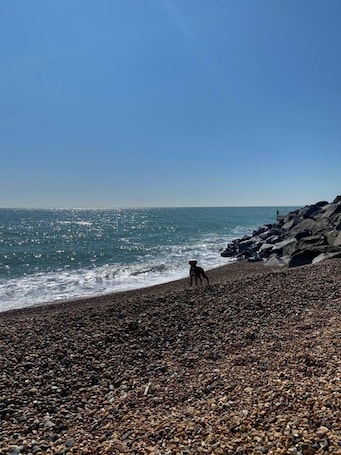 Playa