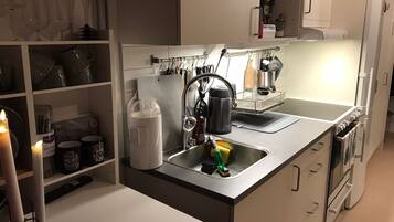 Studio | Private kitchen | Fridge, microwave, oven, stovetop
