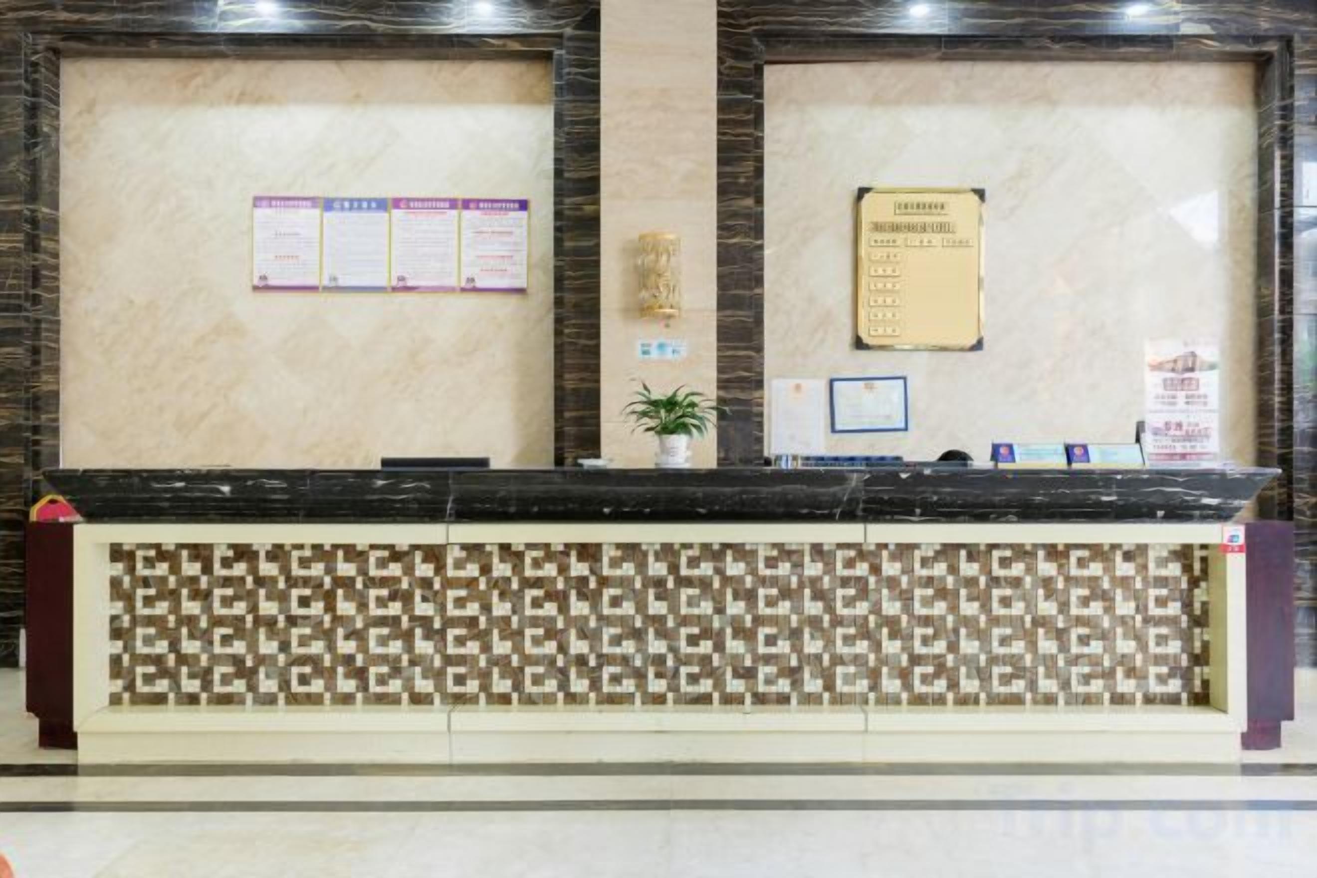 A reception desk with a patterned design, a potted plant, and informational posters.
