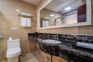 Une salle de bain équipée de toilettes, d’un lavabo, d’un miroir et d’un porte-serviettes.