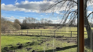 Uitzicht door een raam op een grasveld met een houten omheining, bomen en een lichtbewolkte lucht.