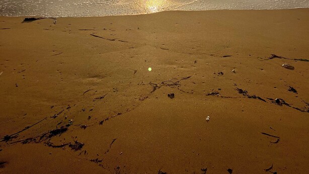 Una playa con vista clara al océano y el sol poni éndose en la distancia.