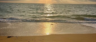 La maison de Gaia-spa-swimming pool-quiet between sea and marshes, charm-comfort