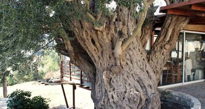 Idyllic 3 Bed Villa With Stunning Views