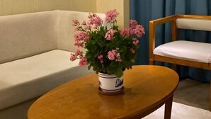 Un coin de pièce avec un canapé beige, une table en bois sur laquelle est posée une plante en pot, et une chaise en bois avec un coussin.