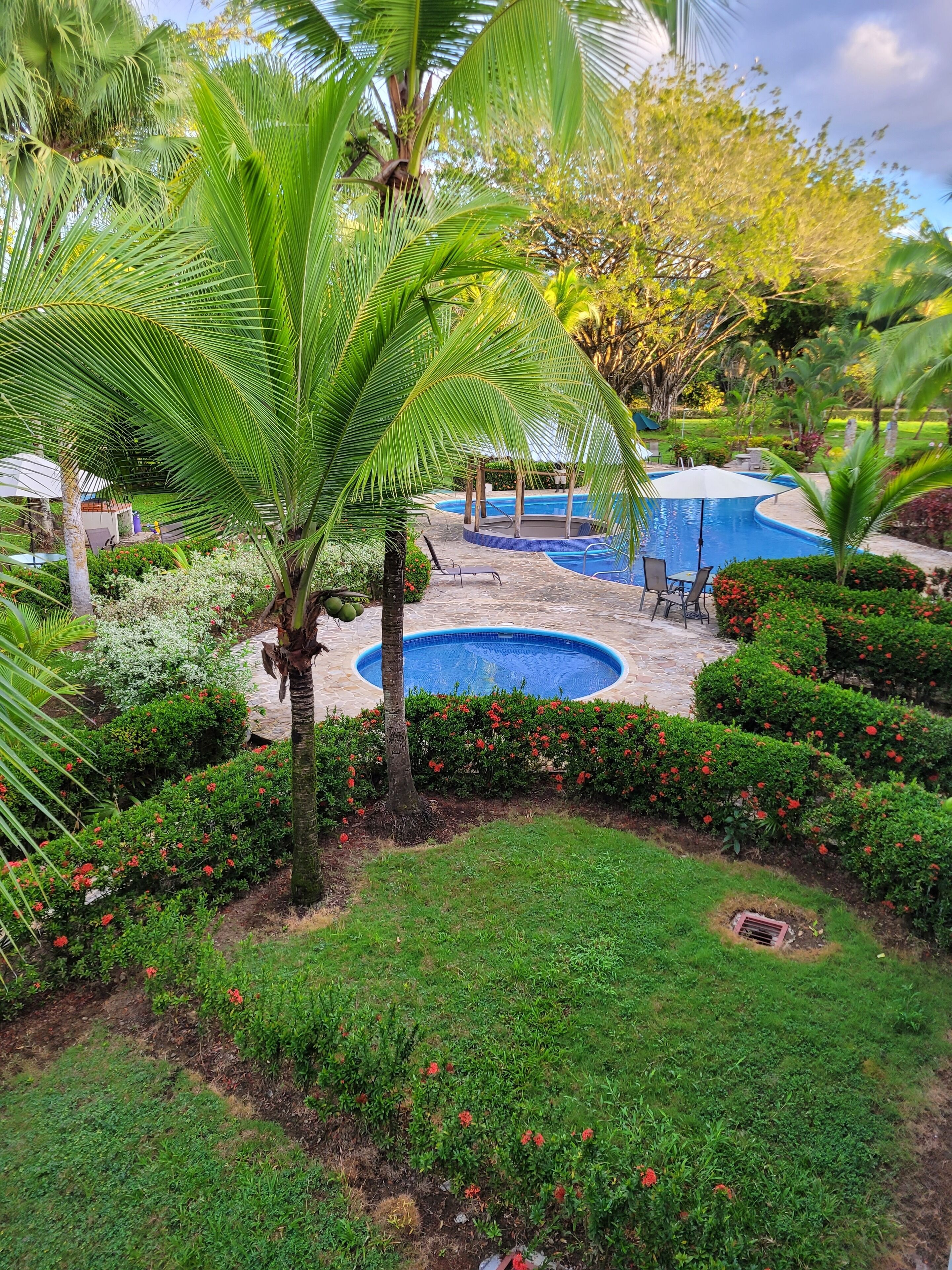Ein Poolbereich mit mehreren kreisförmigen Pools, umgeben von üppiger Vegetation und Palmen.