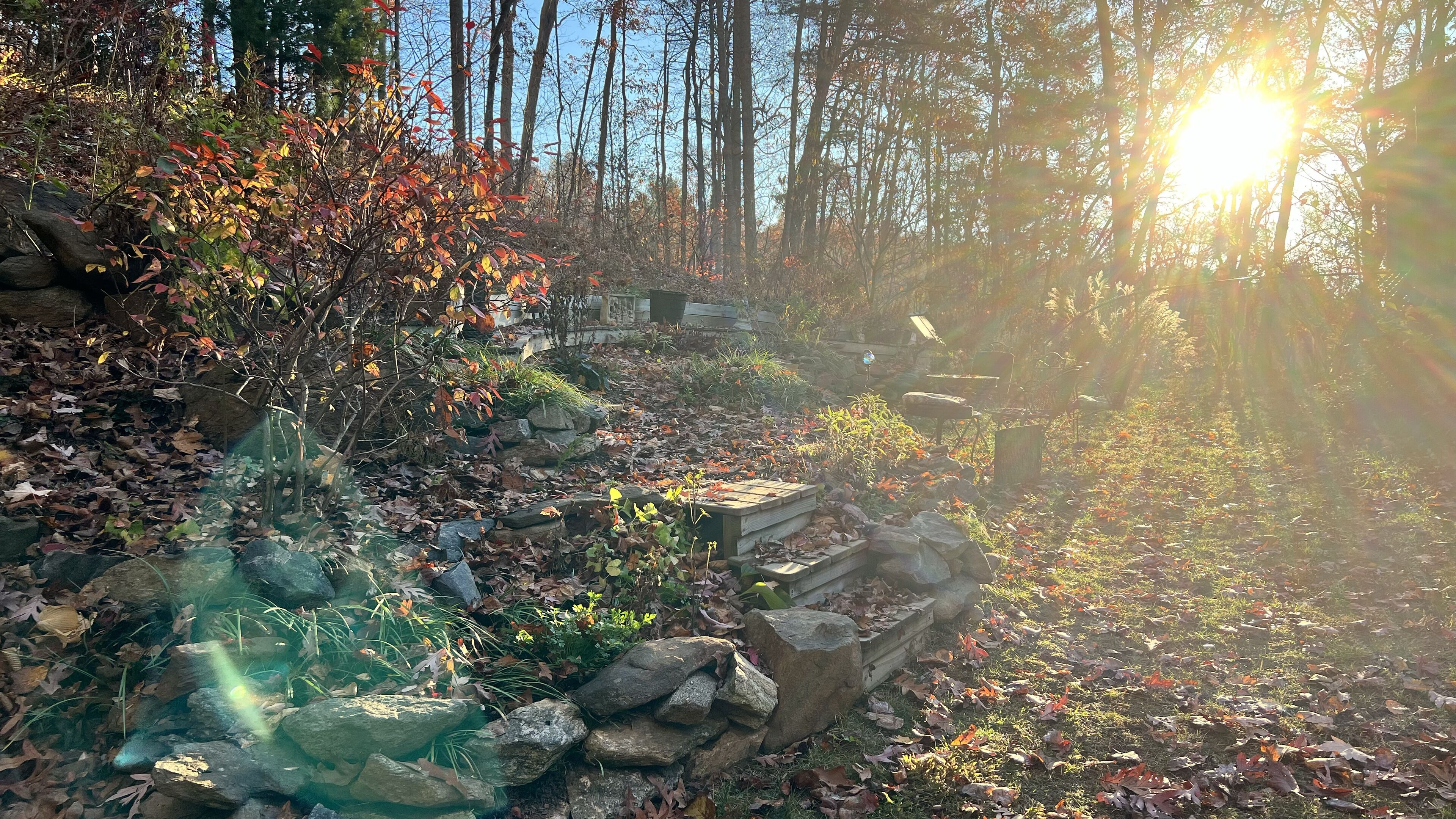 A forested area with a stone pathway, rocks, and a bench.