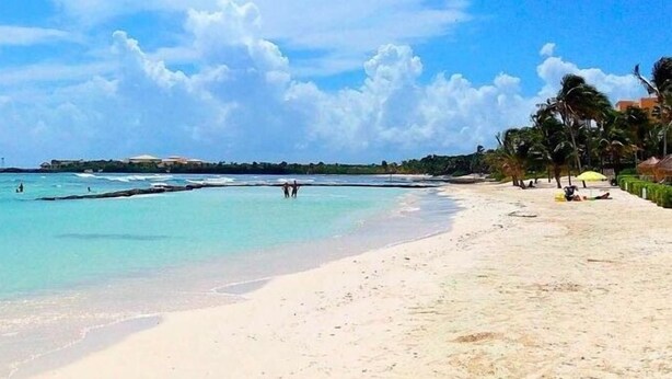 A beach with clear turquoise water, a sandy shore, and palm trees.