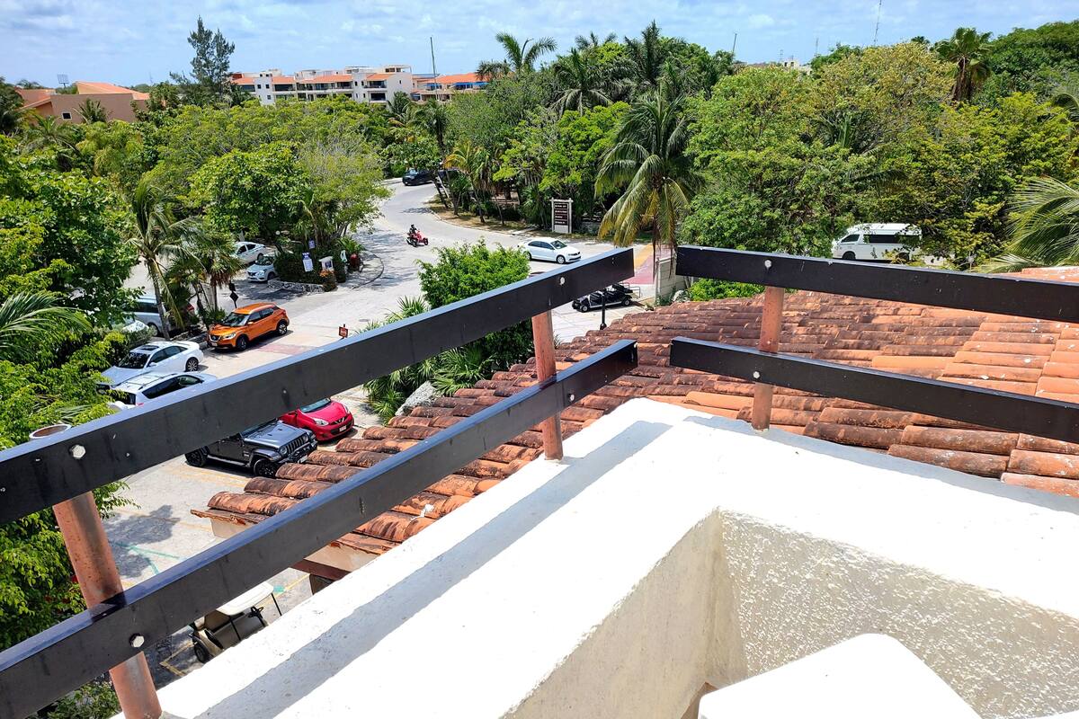 Habitación estándar, 1 cama King size, para no fumadores, vista al jardín | Vista desde la habitación