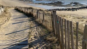 Un muelle de madera que conduce a una playa arenosa, con una valla de madera a un lado.