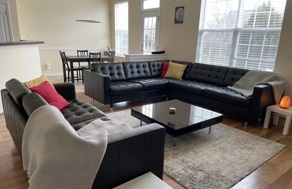 TV connectée, cheminée, livres